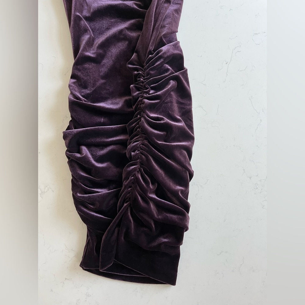 Drew Velour Ruched Dress - Picture 6 of 12